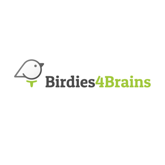 Birdies 4 Brains Logo